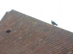 Emmanuel Church Development Langworthy Road Salford